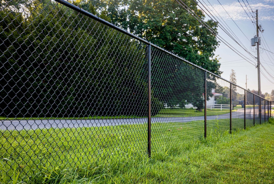 Chain-Link Fences service in Roswell, NM